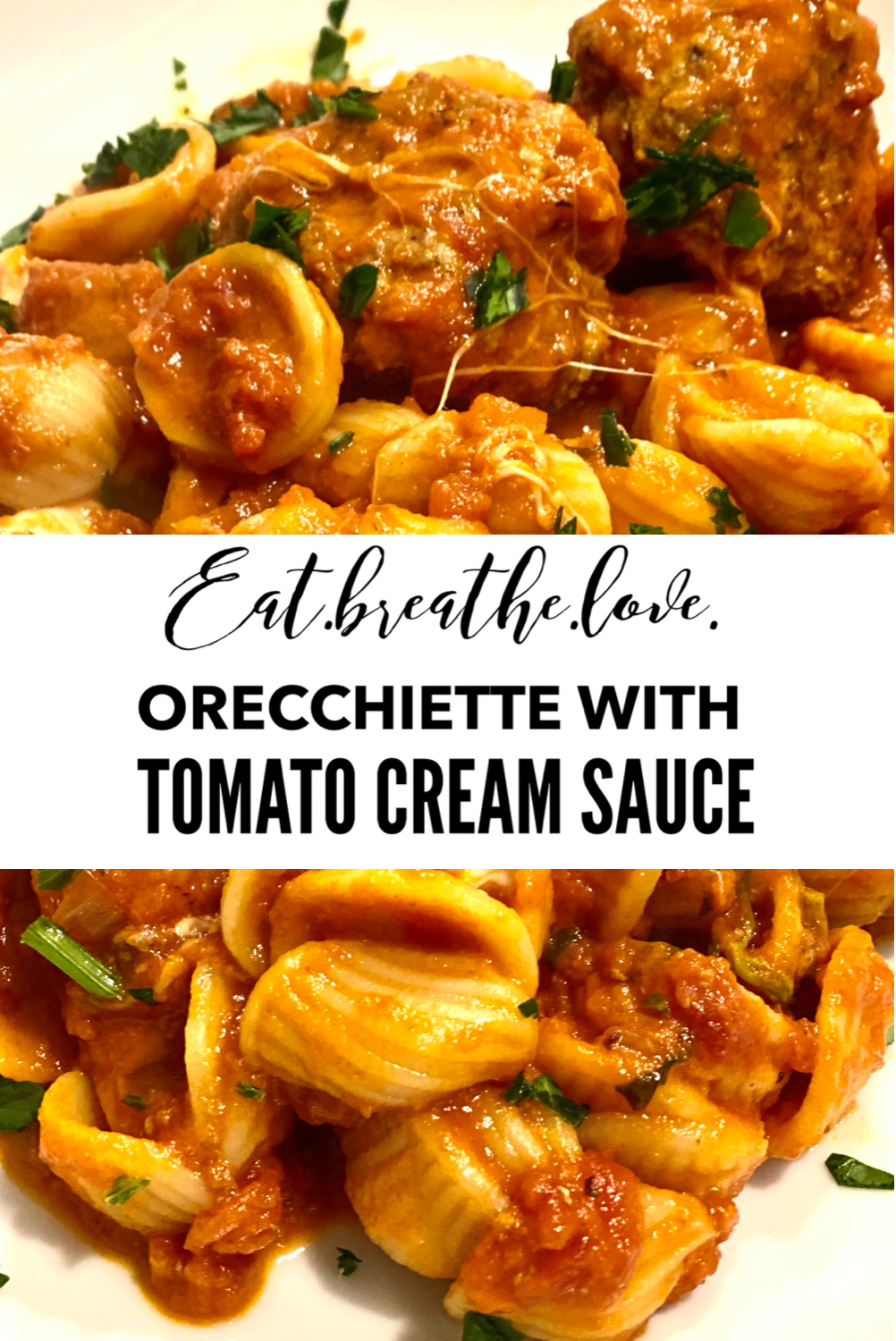 Orecchiette with Tomato Cream Sauce
