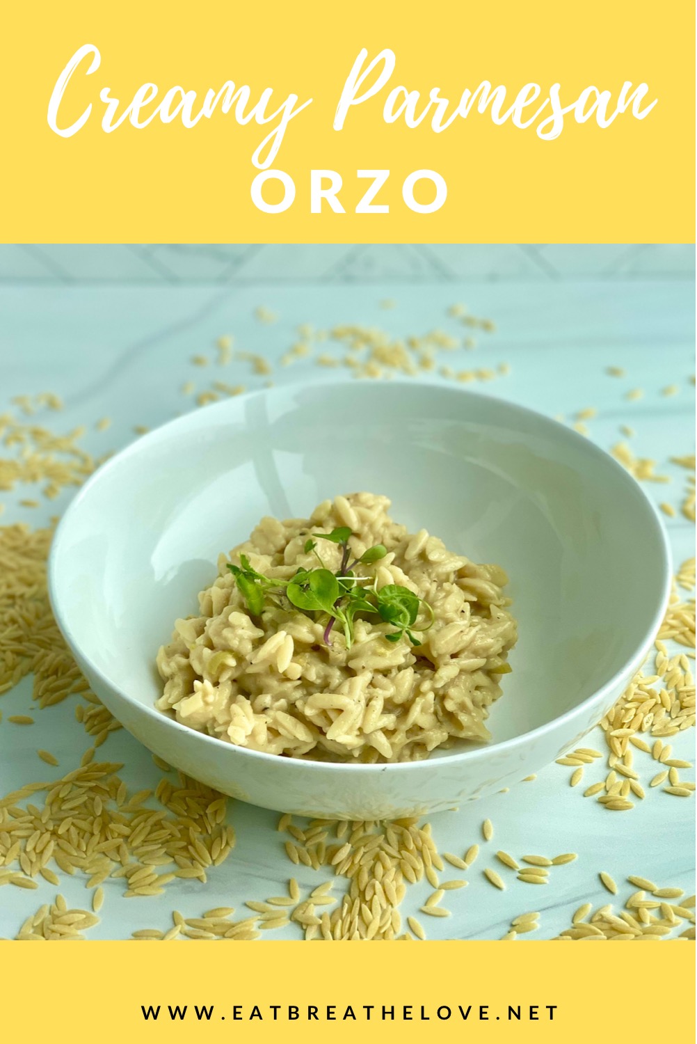 Image of creamy orzo pasta in a dish surrounded by uncooked orzo pasta